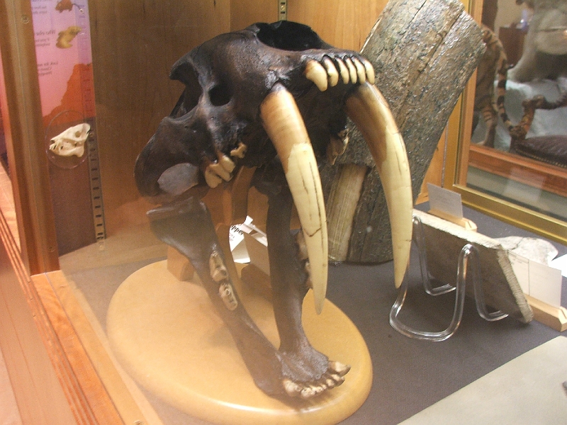 August 2008 027.JPG